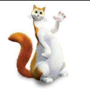 Meet your Posher, Tenasie